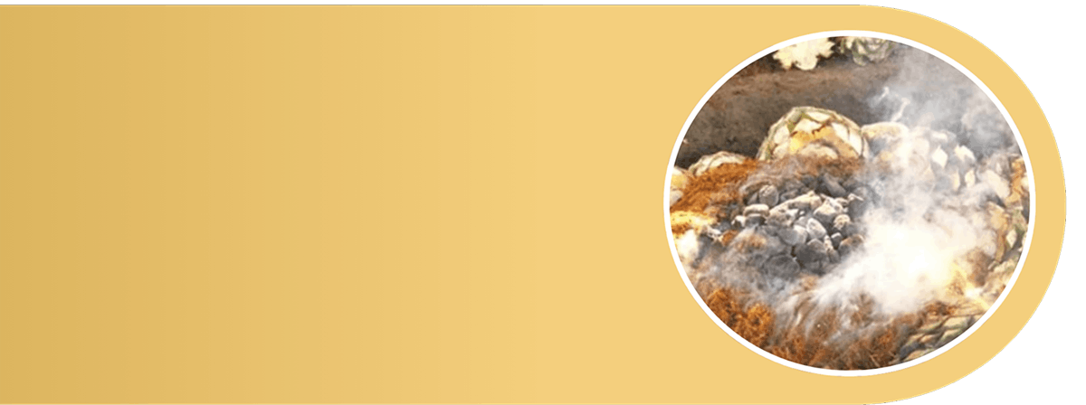 Unito Mezcal best mezcal cocktails 2025 USA mezcal