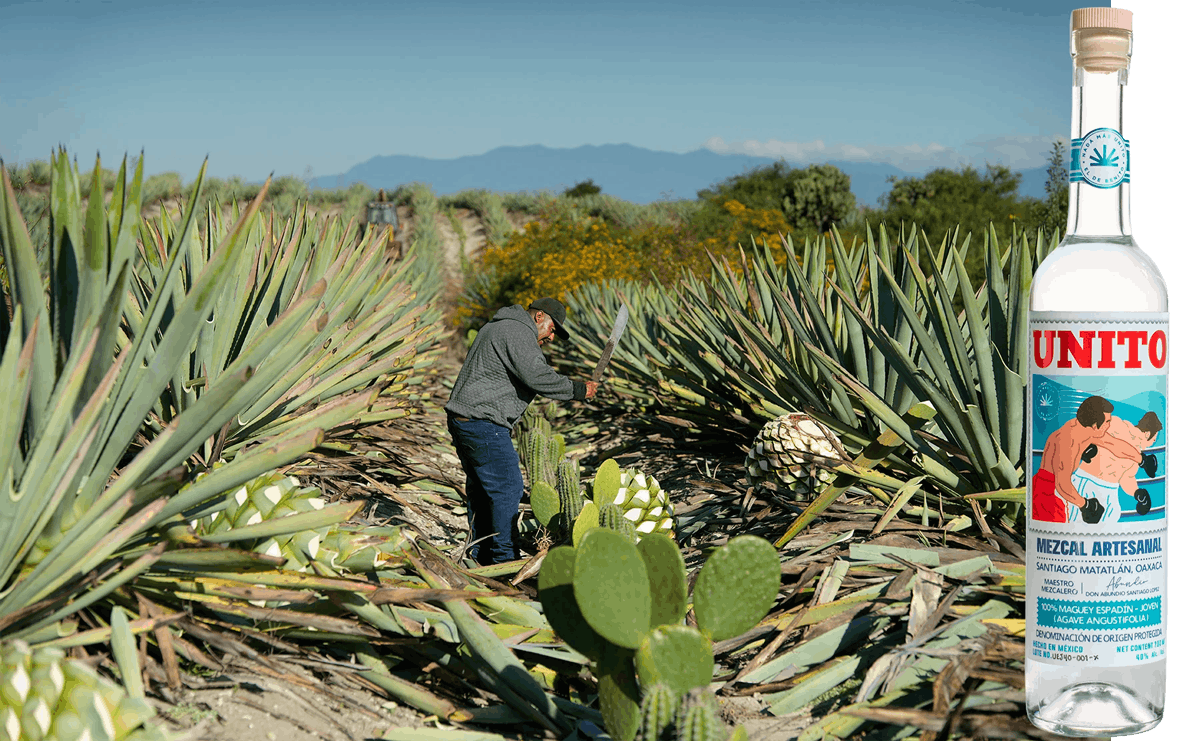 mezcal espadin copper pot distilled Oaxaca